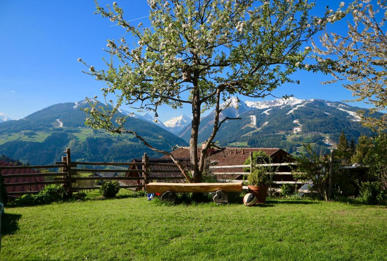 Appartements Rettensteiner Schladming Exterior foto